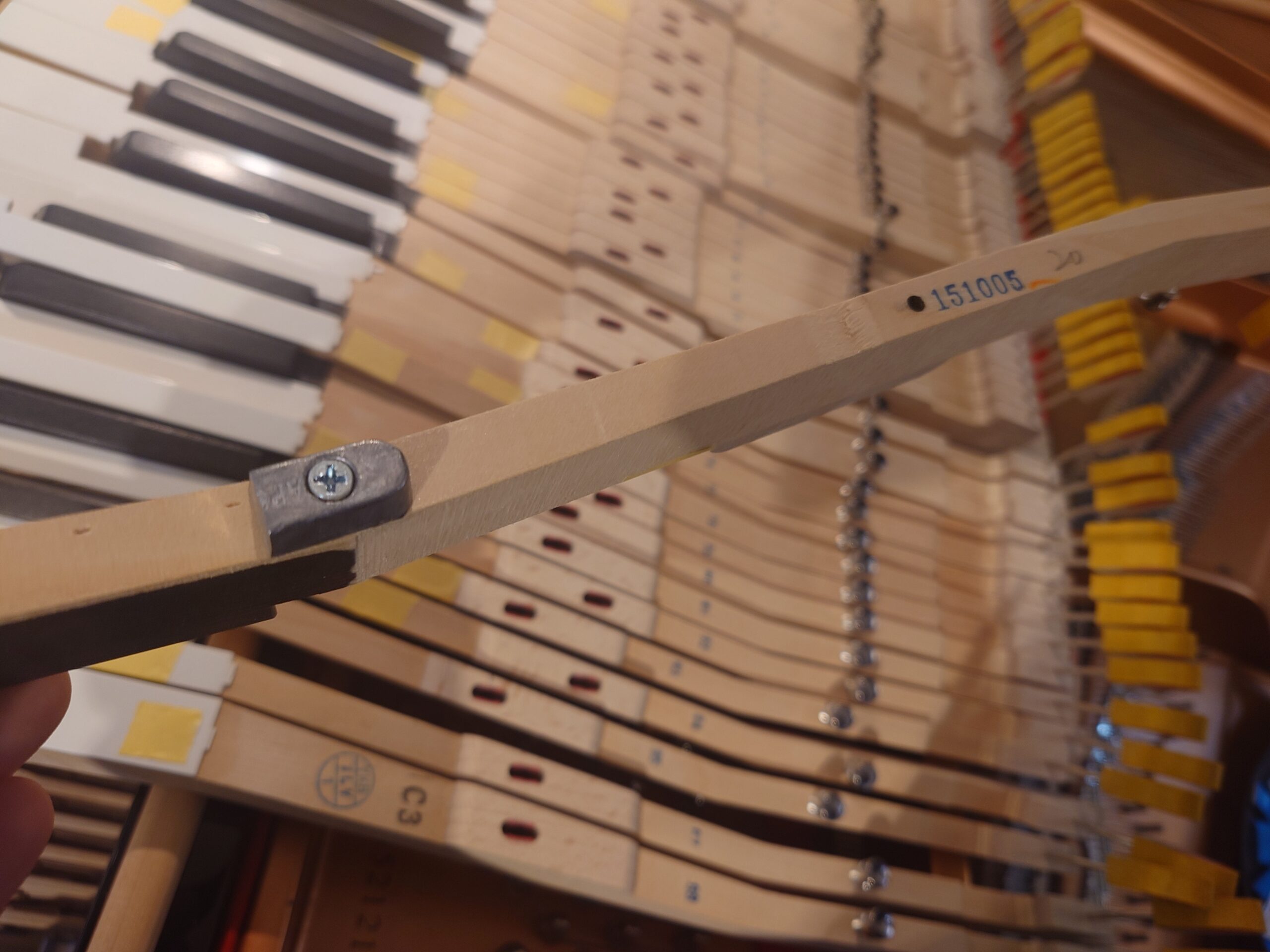 鍵盤調整と調律(2026/4) 7 ダウンウェイト調整2026-no1